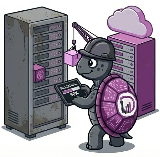 Data Migration